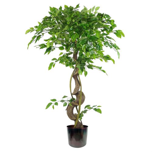 https://images.avasam.com/?w=500&url=https://avasamnew.s3.amazonaws.com/live/GB010188/S0671265458_0.jpg