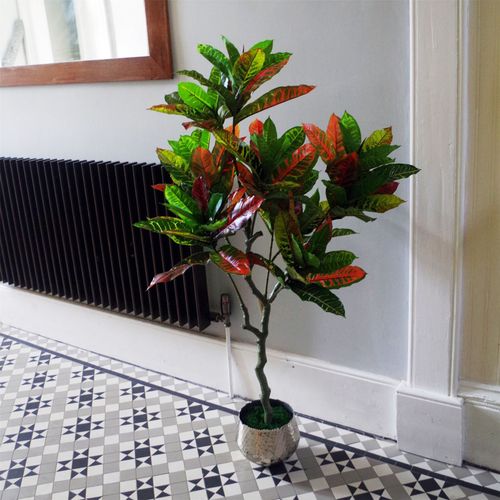 https://images.avasam.com/?w=500&url=https://avasamnew.s3.amazonaws.com/live/GB010188/S0671497646_0.jpg