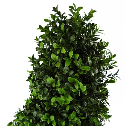 https://images.avasam.com/?w=500&url=https://avasamnew.s3.amazonaws.com/live/GB010188/S0671382874_12.jpg
