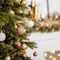 Christmas Trees & Skirts