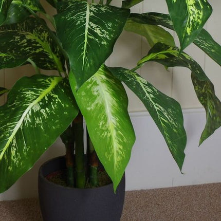 https://images.avasam.com/?w=500&url=https://avasamnew.s3.amazonaws.com/live/GB010188/S0671497619_14.webp