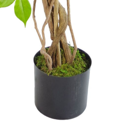 https://images.avasam.com/?w=500&url=https://avasamnew.s3.amazonaws.com/live/GB010188/S0671497807_14.webp