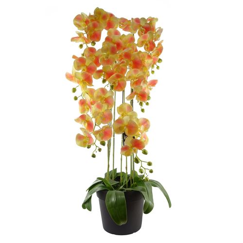 https://images.avasam.com/?w=500&url=https://avasamnew.s3.amazonaws.com/product/GB010188/S0671599850/main.png