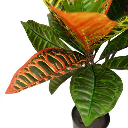 https://images.avasam.com/?w=500&url=https://avasamnew.s3.amazonaws.com/live/GB010188/S0671265691_14.webp