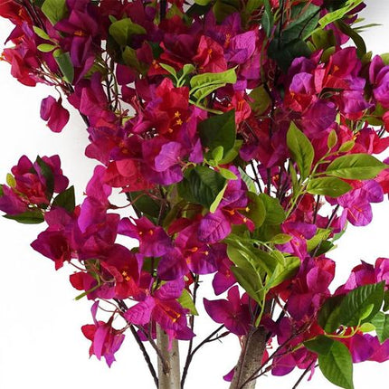 https://images.avasam.com/?w=500&url=https://avasamnew.s3.amazonaws.com/live/GB010188/S0671497650_12.webp