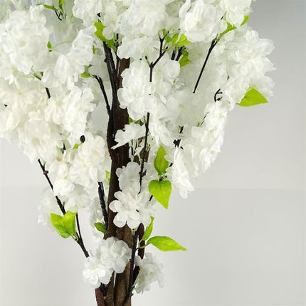 https://images.avasam.com/?w=500&url=https://avasamnew.s3.amazonaws.com/live/GB010188/S0671265487_14.jpg