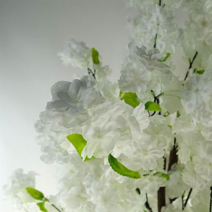 https://images.avasam.com/?w=500&url=https://avasamnew.s3.amazonaws.com/live/GB010188/S0671265487_12.jpg