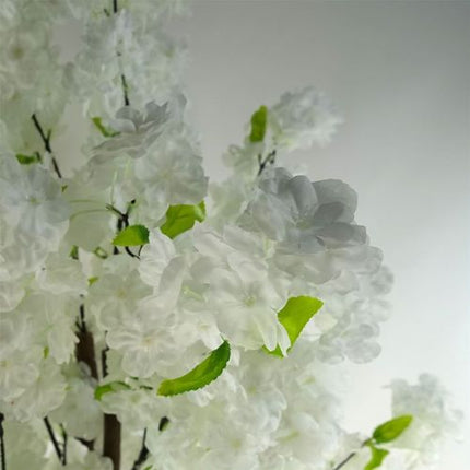 https://images.avasam.com/?w=500&url=https://avasamnew.s3.amazonaws.com/live/GB010188/S0671497622_12.webp