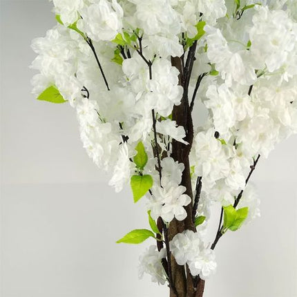 https://images.avasam.com/?w=500&url=https://avasamnew.s3.amazonaws.com/live/GB010188/S0671497622_16.webp