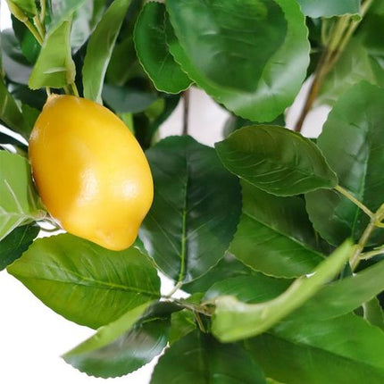 https://images.avasam.com/?w=500&url=https://avasamnew.s3.amazonaws.com/live/GB010188/S0671506278_12.webp