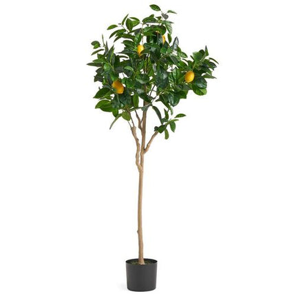https://images.avasam.com/?w=500&url=https://avasamnew.s3.amazonaws.com/live/GB010188/S0671506278_11.webp