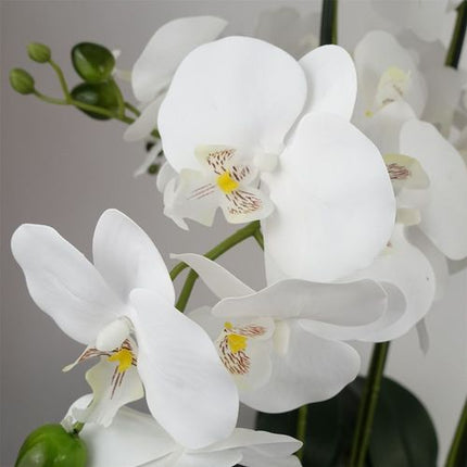 https://images.avasam.com/?w=500&url=https://avasamnew.s3.amazonaws.com/live/GB010188/S0671497634_12.webp