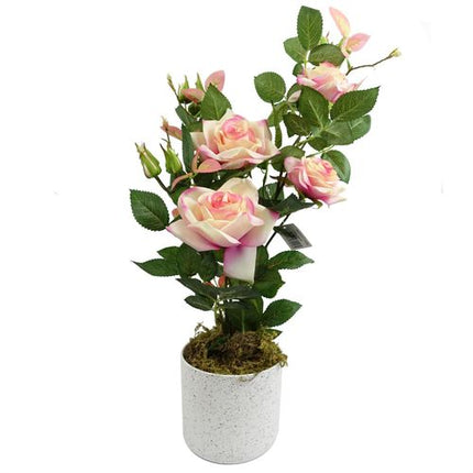https://images.avasam.com/?w=500&url=https://avasamnew.s3.amazonaws.com/product/GB010188/S0671599766/main.png