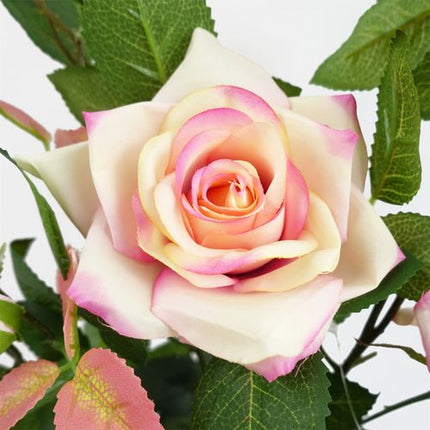 https://images.avasam.com/?w=500&url=https://avasamnew.s3.amazonaws.com/product/GB010188/S0671599766/4.png