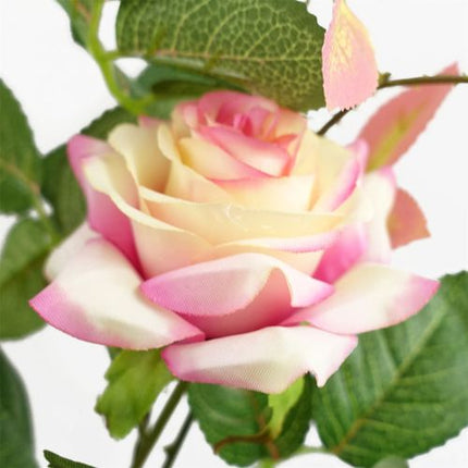 https://images.avasam.com/?w=500&url=https://avasamnew.s3.amazonaws.com/product/GB010188/S0671599766/2.png