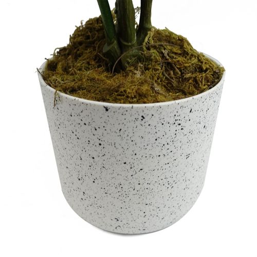 https://images.avasam.com/?w=500&url=https://avasamnew.s3.amazonaws.com/product/GB010188/S0671599766/5.png