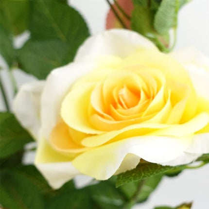 https://images.avasam.com/?w=500&url=https://avasamnew.s3.amazonaws.com/product/GB010188/S0671599759/1.png