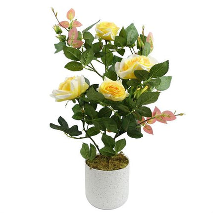 https://images.avasam.com/?w=500&url=https://avasamnew.s3.amazonaws.com/product/GB010188/S0671599759/main.png
