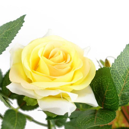 https://images.avasam.com/?w=500&url=https://avasamnew.s3.amazonaws.com/product/GB010188/S0671599759/3.png