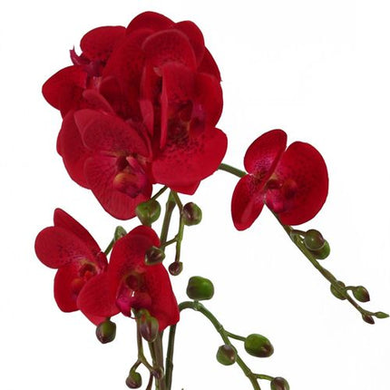 https://images.avasam.com/?w=500&url=https://avasamnew.s3.amazonaws.com/live/GB010188/S0671265537_13.jpg