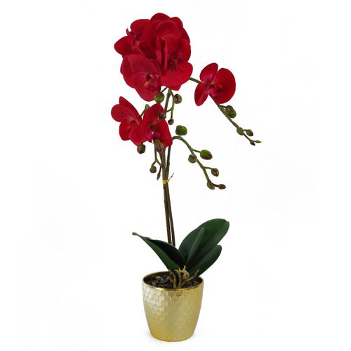 https://images.avasam.com/?w=500&url=https://avasamnew.s3.amazonaws.com/live/GB010188/S0671265537_0.jpg