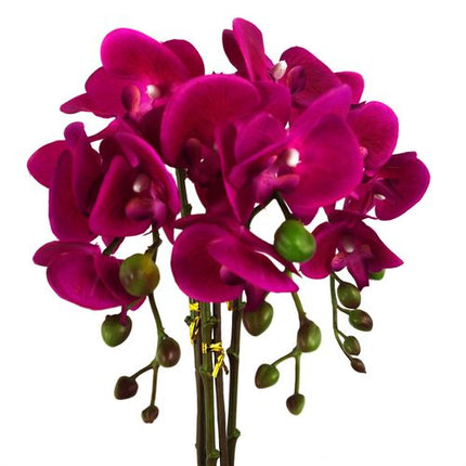 https://images.avasam.com/?w=500&url=https://avasamnew.s3.amazonaws.com/live/GB010188/S0671265531_12.jpg