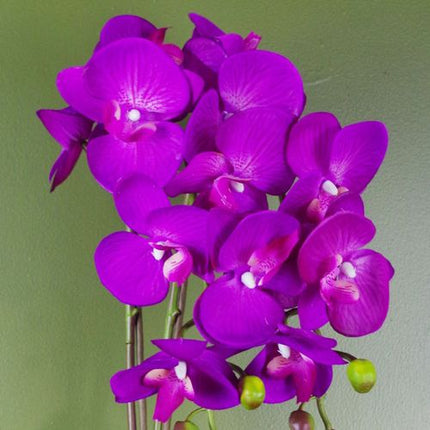 https://images.avasam.com/?w=500&url=https://avasamnew.s3.amazonaws.com/live/GB010188/S0671265577_13.jpg