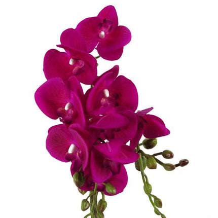 https://images.avasam.com/?w=500&url=https://avasamnew.s3.amazonaws.com/live/GB010188/S0671265626_13.webp
