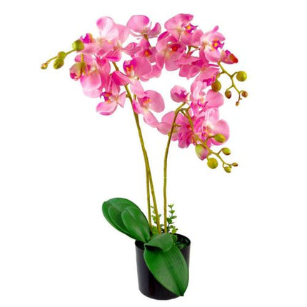 https://images.avasam.com/?w=500&url=https://avasamnew.s3.amazonaws.com/live/GB010188/S0671382922_0.jpg