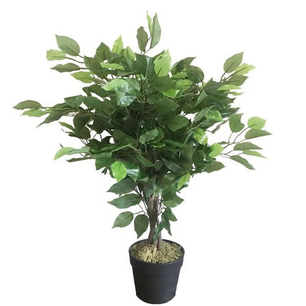 https://images.avasam.com/?w=500&url=https://avasamnew.s3.amazonaws.com/live/GB010188/S0671348473_0.jpg