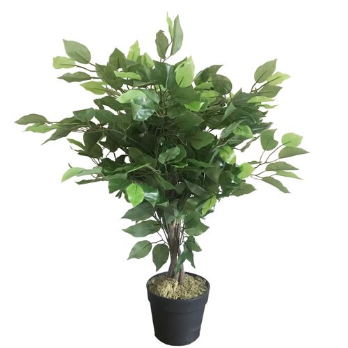 https://images.avasam.com/?w=500&url=https://avasamnew.s3.amazonaws.com/live/GB010188/S0671348473_0.jpg