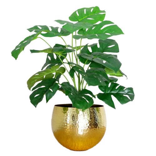 https://images.avasam.com/?w=500&url=https://avasamnew.s3.amazonaws.com/live/GB010188/S0671382916_0.jpg