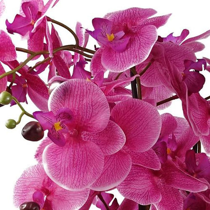 https://images.avasam.com/?w=500&url=https://avasamnew.s3.amazonaws.com/live/GB010188/S0671497657_12.webp
