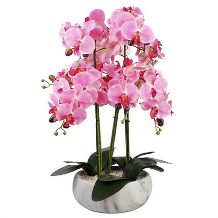 https://images.avasam.com/?w=500&url=https://avasamnew.s3.amazonaws.com/live/GB010188/S0671497631_0.jpg