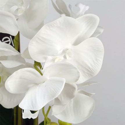 https://images.avasam.com/?w=500&url=https://avasamnew.s3.amazonaws.com/product/GB010188/S0671530106/3.png