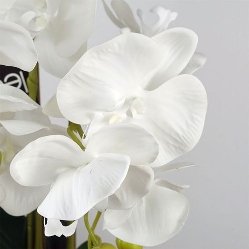 https://images.avasam.com/?w=500&url=https://avasamnew.s3.amazonaws.com/product/GB010188/S0671530106/3.png