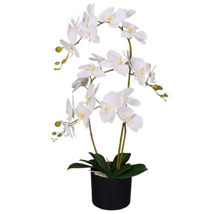 https://images.avasam.com/?w=500&url=https://avasamnew.s3.amazonaws.com/live/GB010188/S0671438547_0.jpg