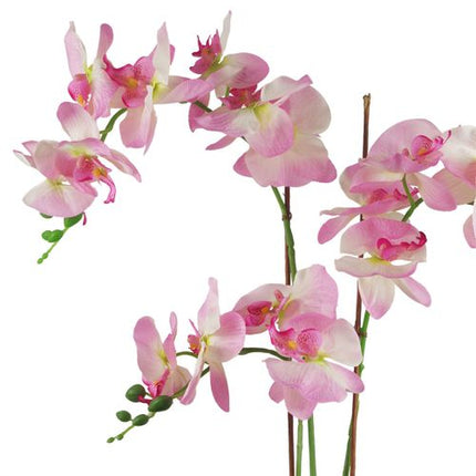 https://images.avasam.com/?w=500&url=https://avasamnew.s3.amazonaws.com/live/GB010188/S0671438543_13.jpg