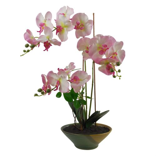 https://images.avasam.com/?w=500&url=https://avasamnew.s3.amazonaws.com/live/GB010188/S0671438543_0.jpg