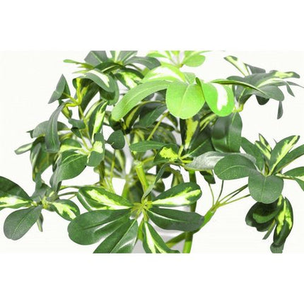 https://images.avasam.com/?w=500&url=https://avasamnew.s3.amazonaws.com/live/GB010188/S0671382871_12.jpg
