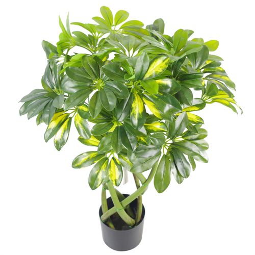 https://images.avasam.com/?w=500&url=https://avasamnew.s3.amazonaws.com/live/GB010188/S0671382871_13.jpg