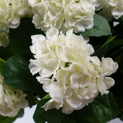 https://images.avasam.com/?w=500&url=https://avasamnew.s3.amazonaws.com/live/GB010188/S0671369594_12.jpg