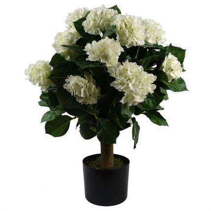 https://images.avasam.com/?w=500&url=https://avasamnew.s3.amazonaws.com/live/GB010188/S0671369594_0.jpg