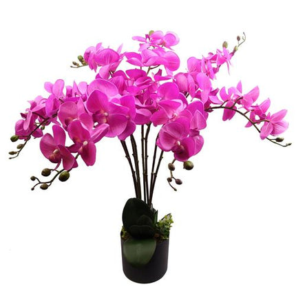 https://images.avasam.com/?w=500&url=https://avasamnew.s3.amazonaws.com/product/GB010188/S0671599849/main.png