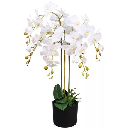https://images.avasam.com/?w=500&url=https://avasamnew.s3.amazonaws.com/live/GB010188/S0671497642_0.jpg