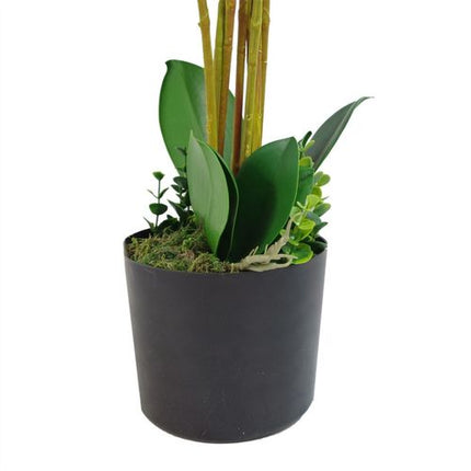 https://images.avasam.com/?w=500&url=https://avasamnew.s3.amazonaws.com/live/GB010188/S0671497642_13.webp