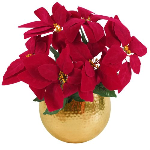 https://images.avasam.com/?w=500&url=https://avasamnew.s3.amazonaws.com/live/GB010188/S0671348483_0.jpg