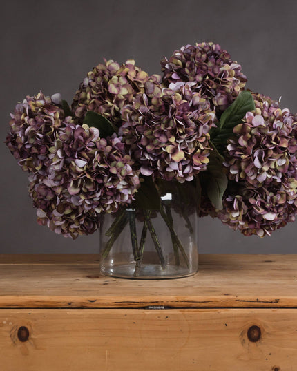 Autumn Burgundy Hydrangea