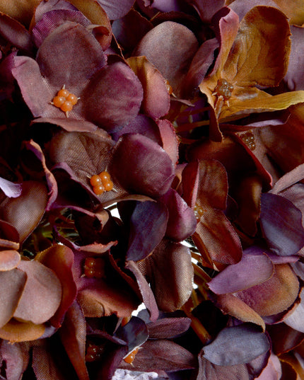 Autumn Coffee Hydrangea