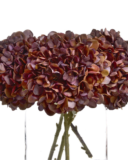 Autumn Coffee Hydrangea